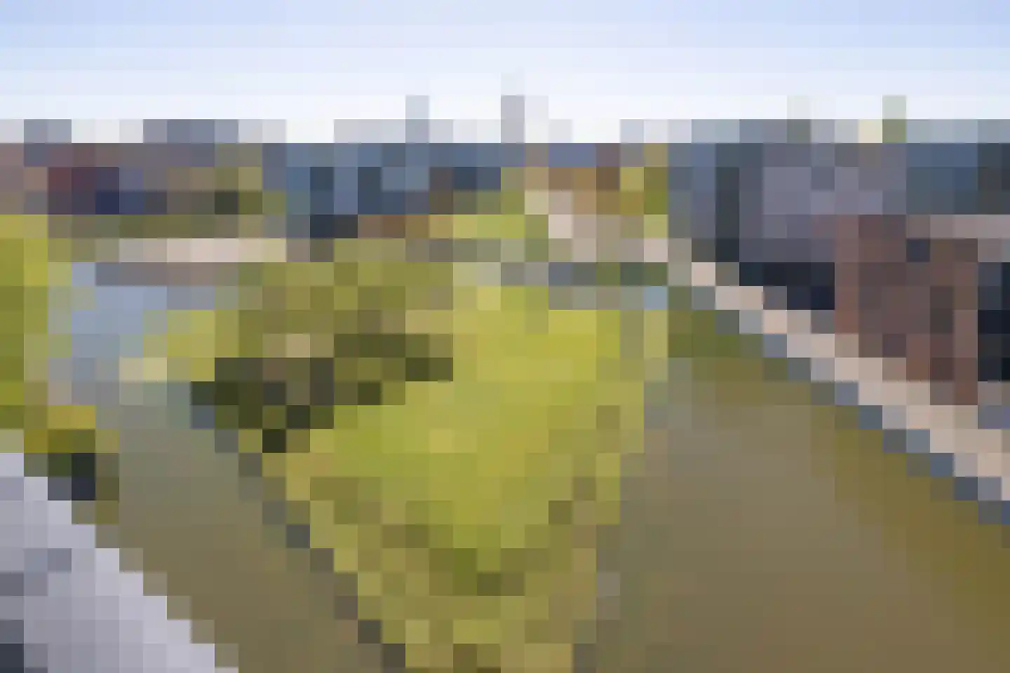 Wessex 123 Hengelo thumbnail 13