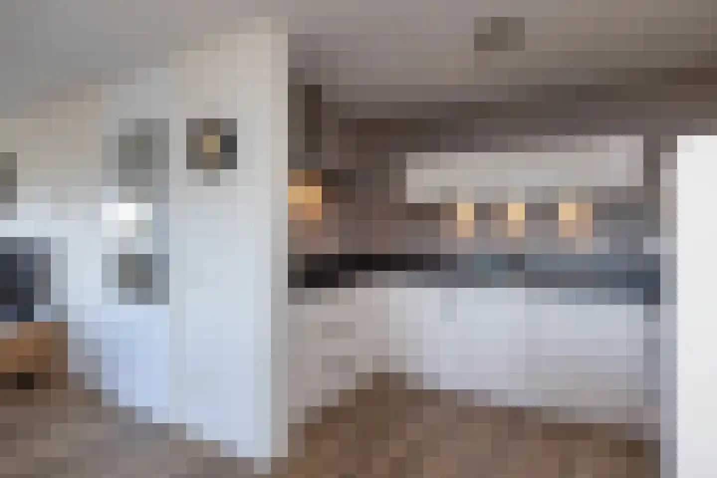 Wessex 123 Hengelo thumbnail 17