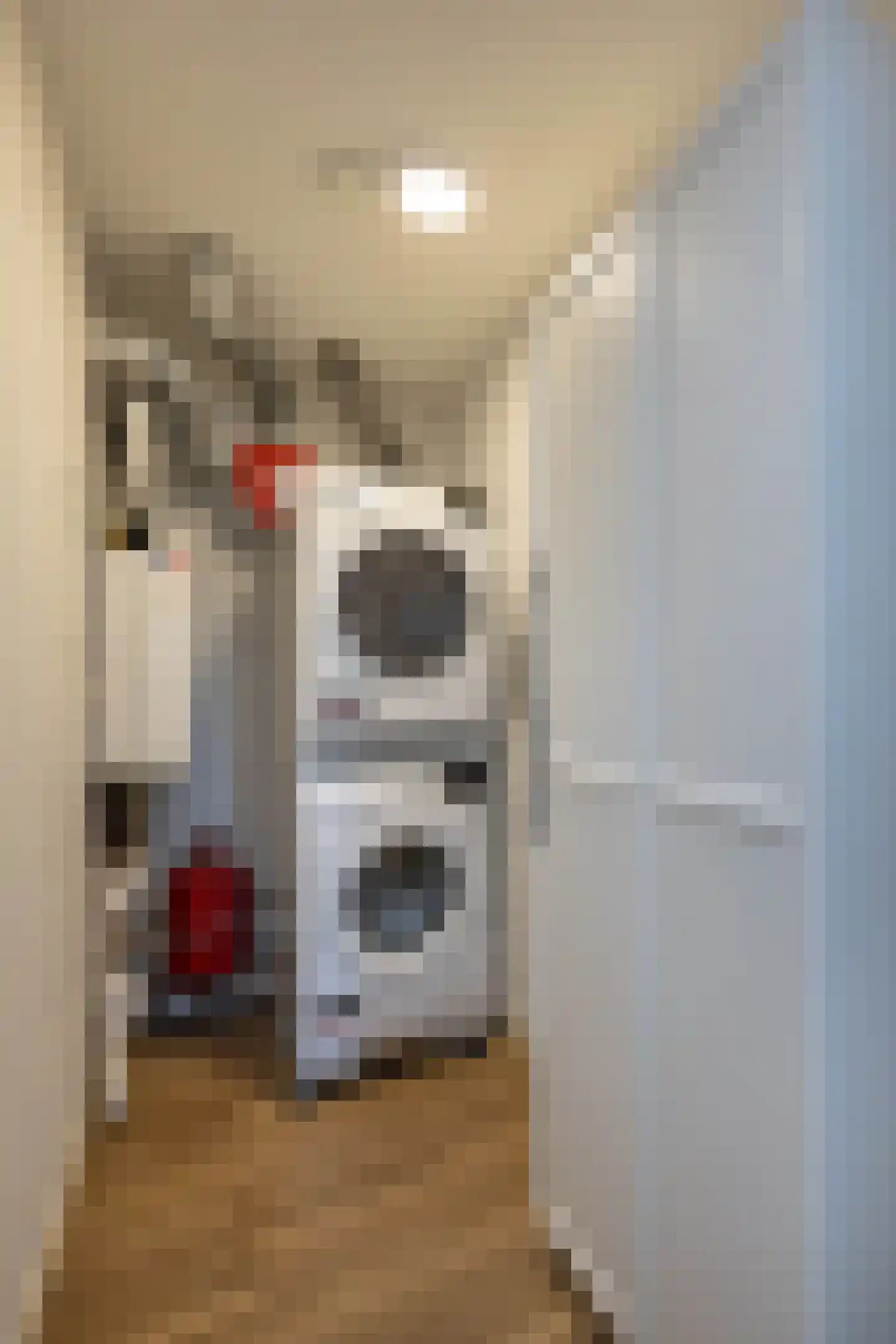 Wessex 123 Hengelo thumbnail 26