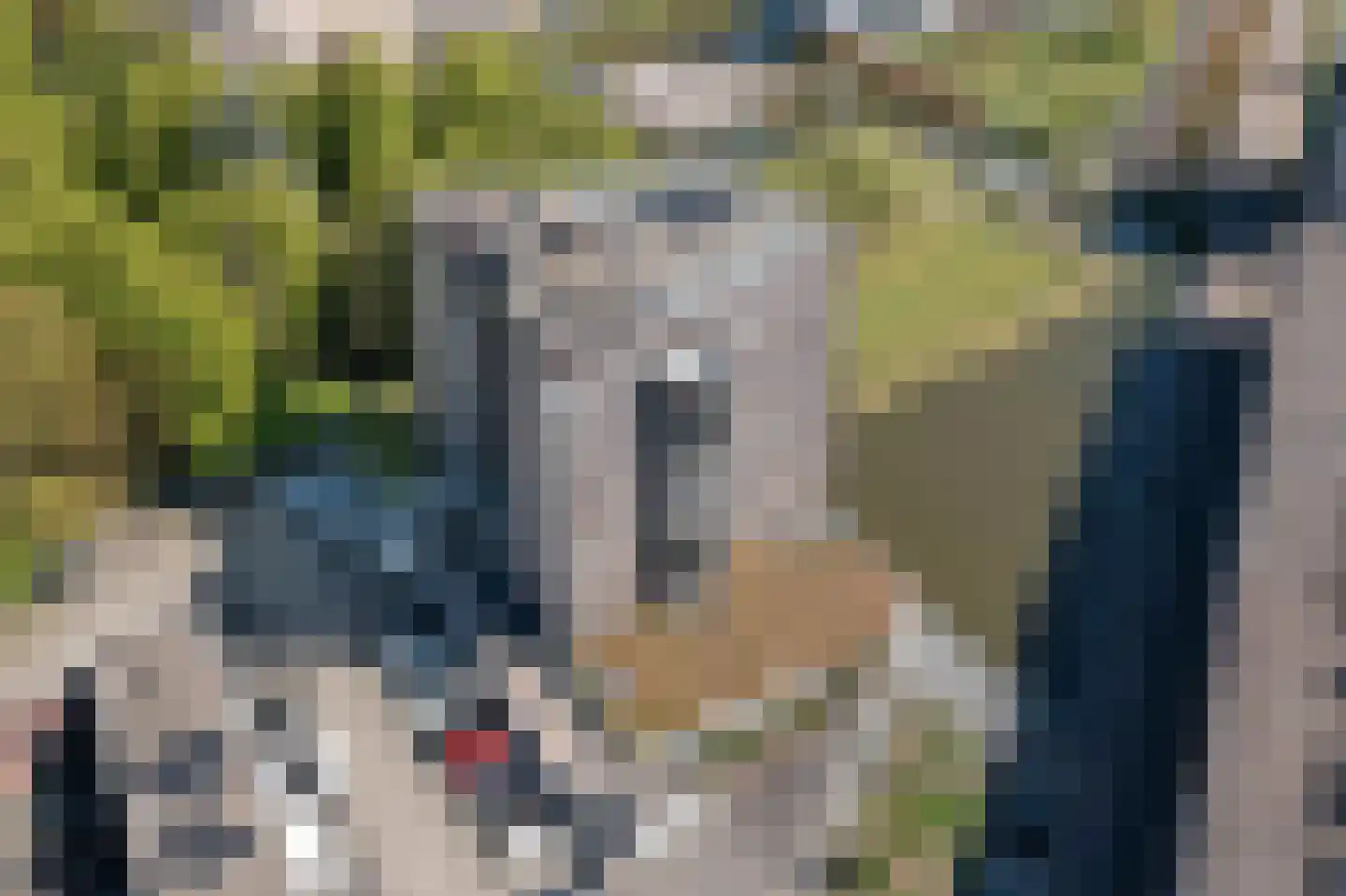 Wessex 123 Hengelo thumbnail 42