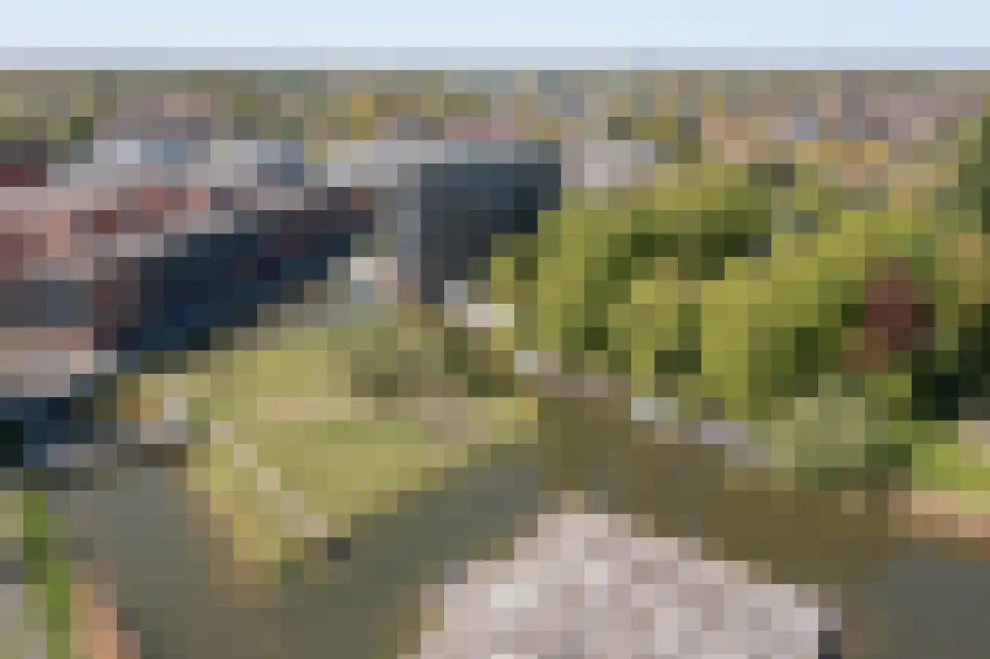 Wessex 123 Hengelo thumbnail 46