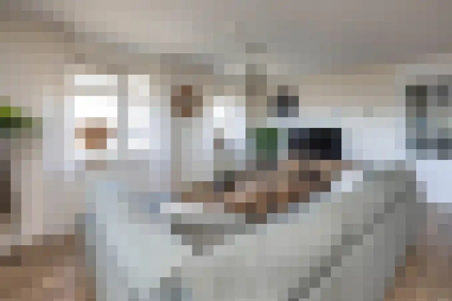 Wessex 123 Hengelo thumbnail 5
