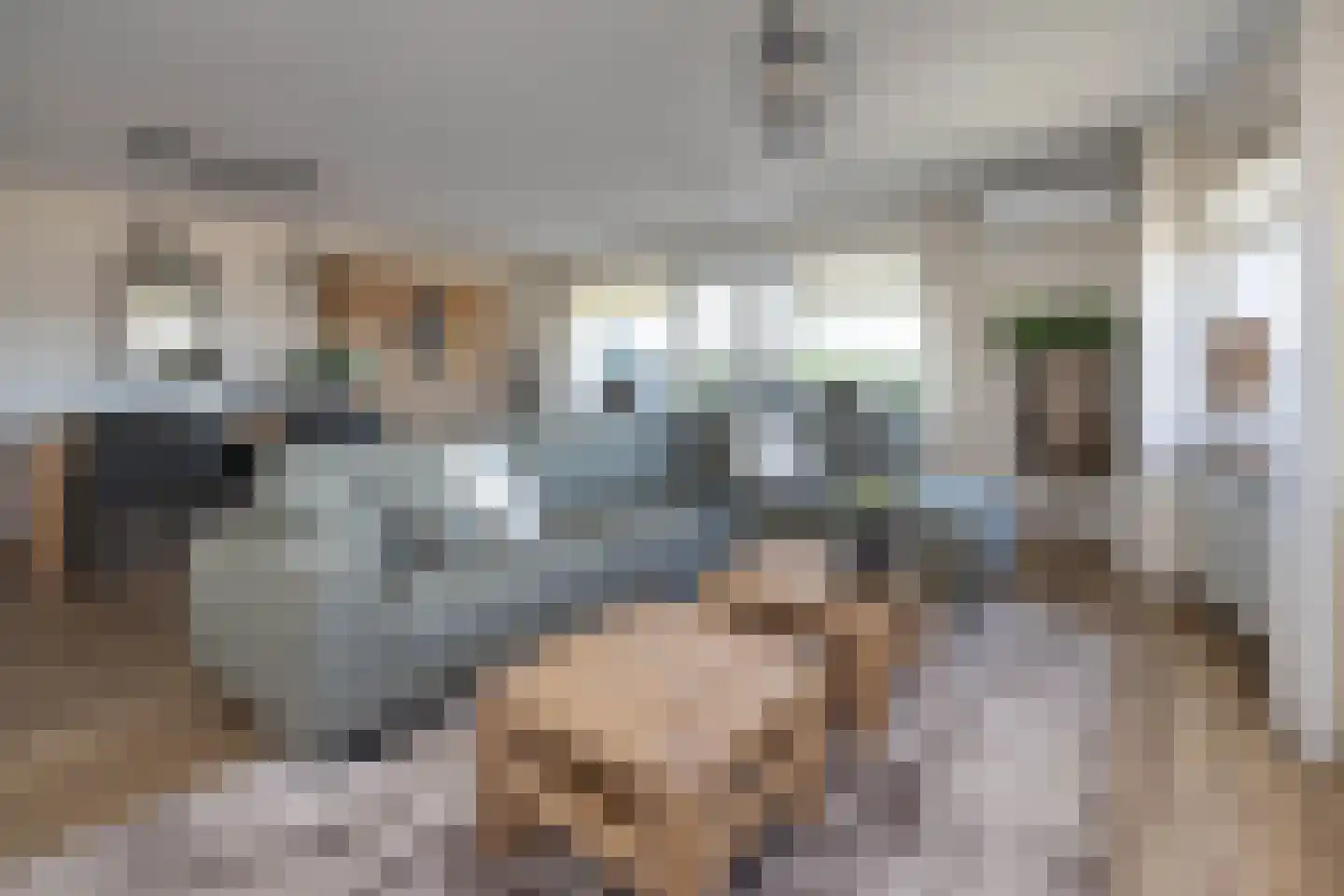 Wessex 123 Hengelo thumbnail 6