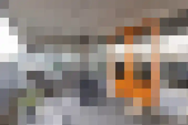 Wessex 129 Hengelo thumbnail 10