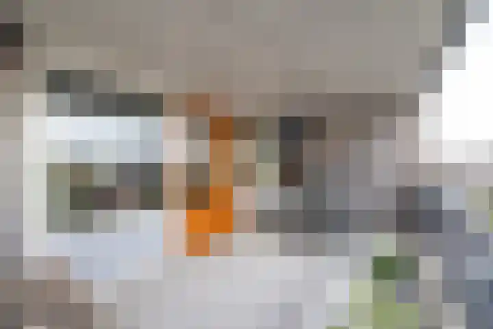 Wessex 129 Hengelo thumbnail 11