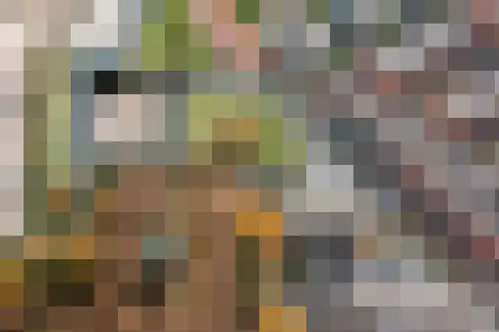 Wessex 129 Hengelo thumbnail 30