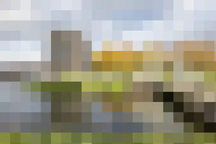 Wessex 129 Hengelo thumbnail 31