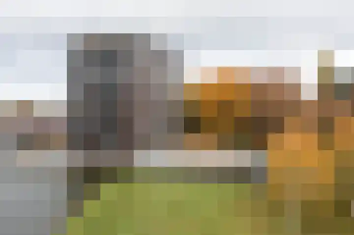 Wessex 129 Hengelo thumbnail 32