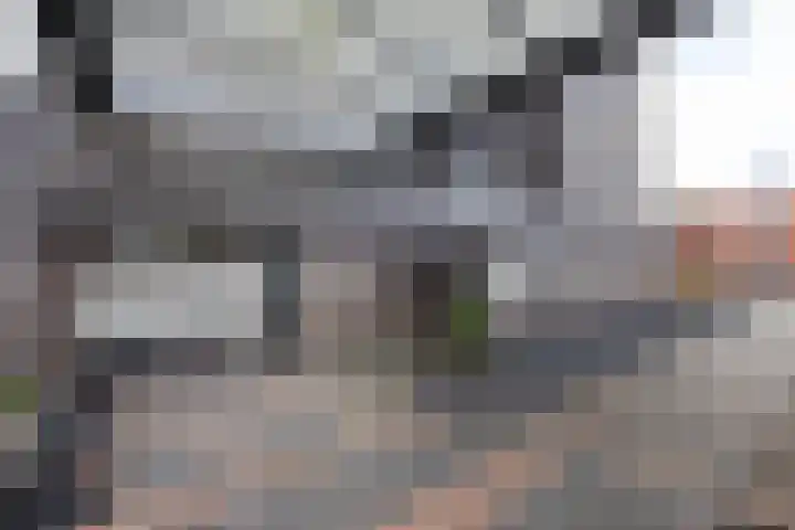 Wessex 129 Hengelo thumbnail 4
