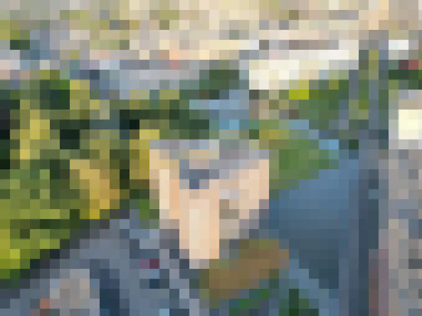 Wessex 135 Hengelo thumbnail 6