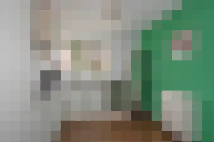 Wessex 32 Hengelo thumbnail 11