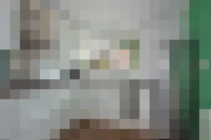 Wessex 32 Hengelo thumbnail 12