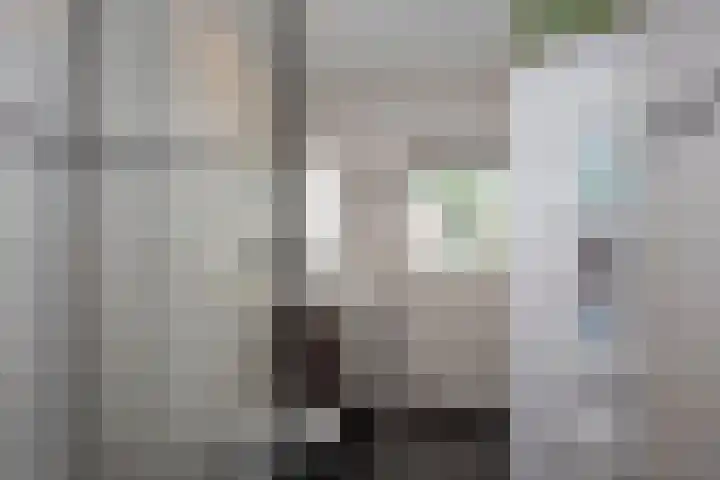 Wessex 32 Hengelo thumbnail 18