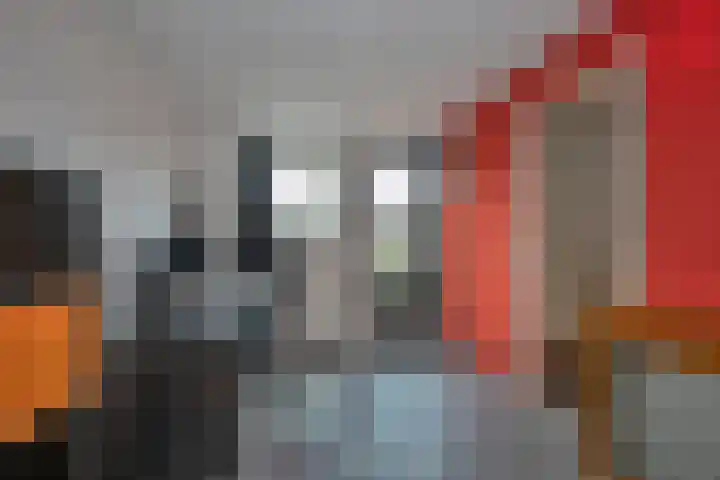 Wessex 32 Hengelo thumbnail 22