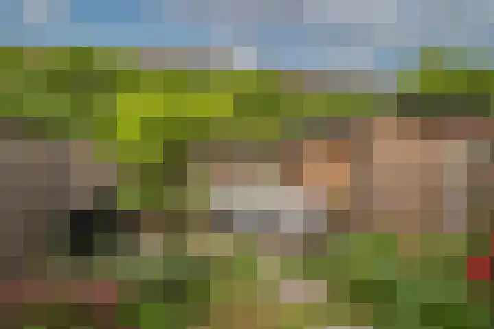 Wessex 32 Hengelo thumbnail 26