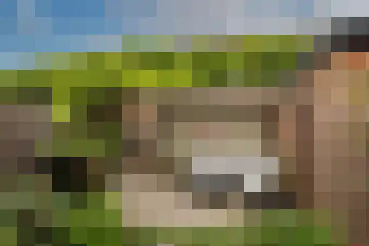 Wessex 32 Hengelo thumbnail 27