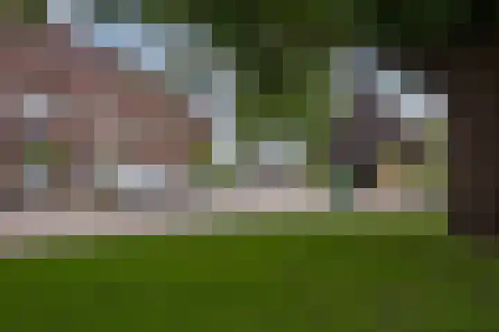 Wessex 32 Hengelo thumbnail 29