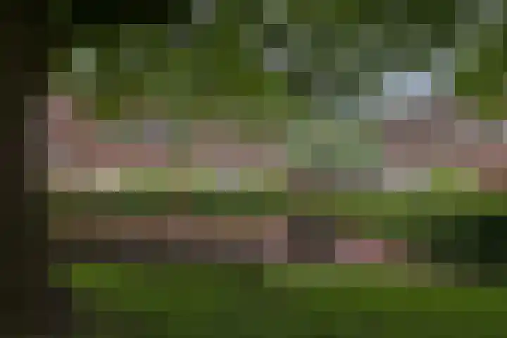 Wessex 32 Hengelo thumbnail 30