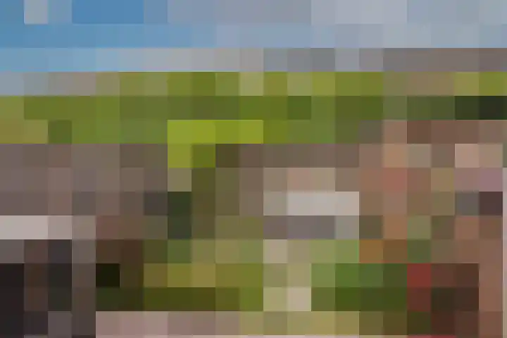 Wessex 32 Hengelo thumbnail 4