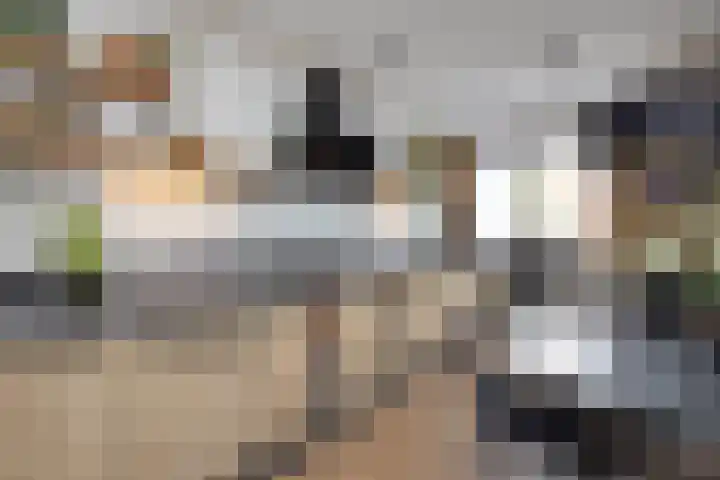 Wessex 52 Hengelo thumbnail 10