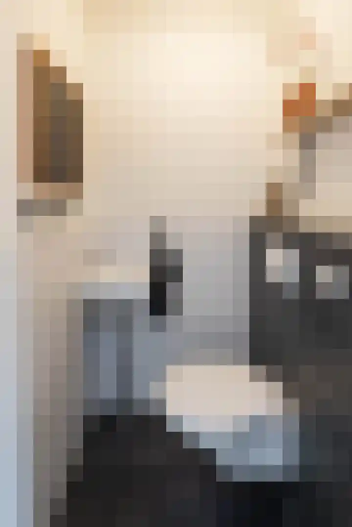 Wessex 52 Hengelo thumbnail 13