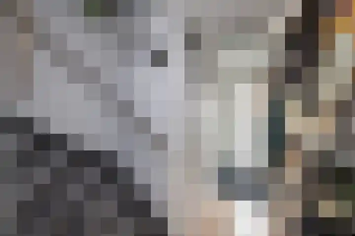 Wessex 52 Hengelo thumbnail 14