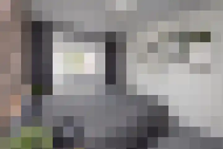 Wessex 52 Hengelo thumbnail 15
