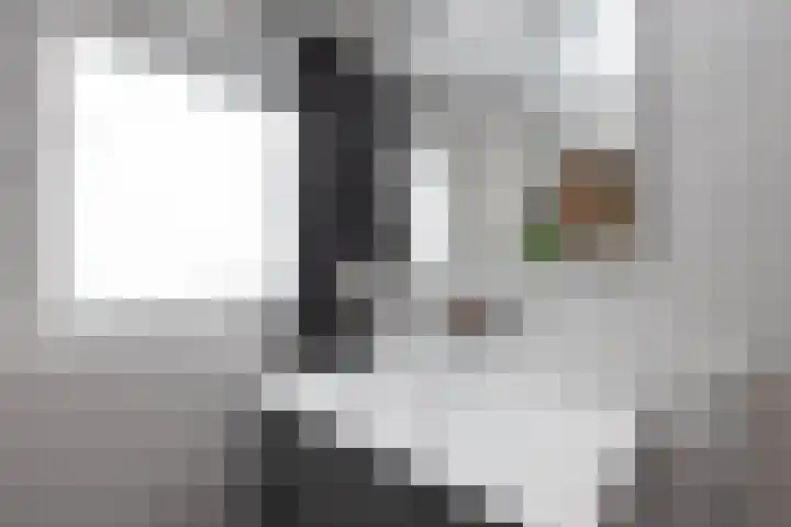 Wessex 52 Hengelo thumbnail 18