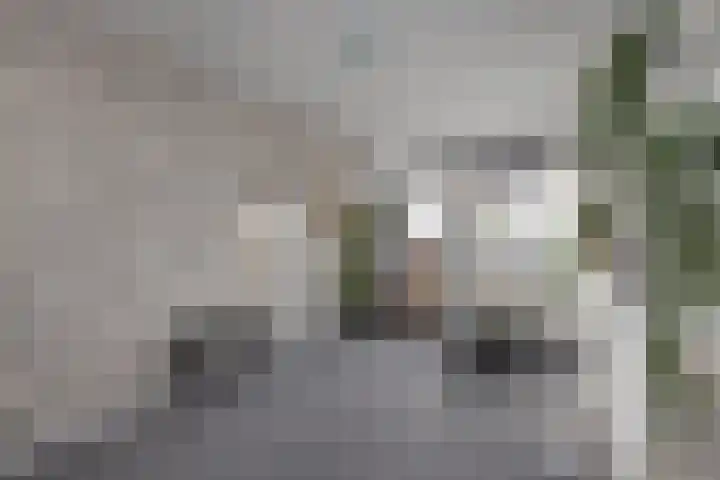 Wessex 52 Hengelo thumbnail 19