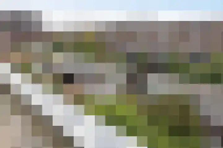 Wessex 52 Hengelo thumbnail 27