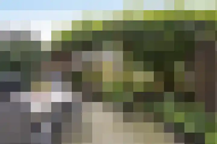 Wessex 52 Hengelo thumbnail 28