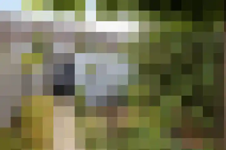 Wessex 52 Hengelo thumbnail 29