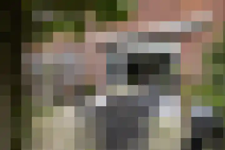 Wessex 52 Hengelo thumbnail 30