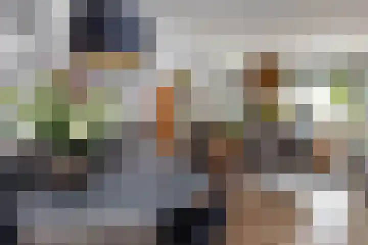 Wessex 52 Hengelo thumbnail 8