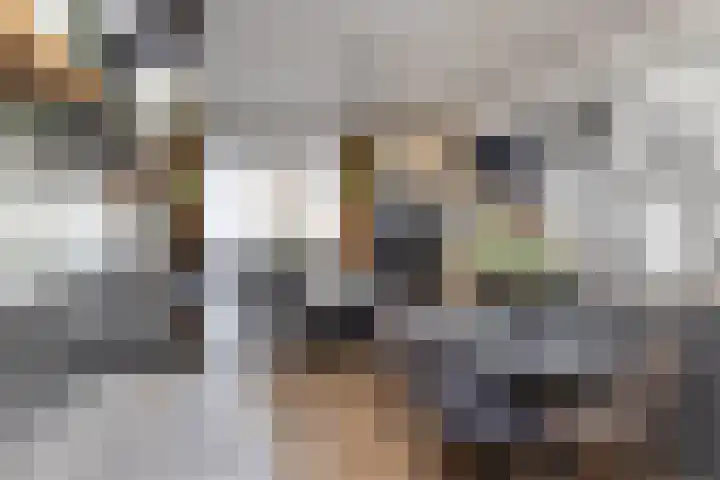 Wessex 52 Hengelo thumbnail 9