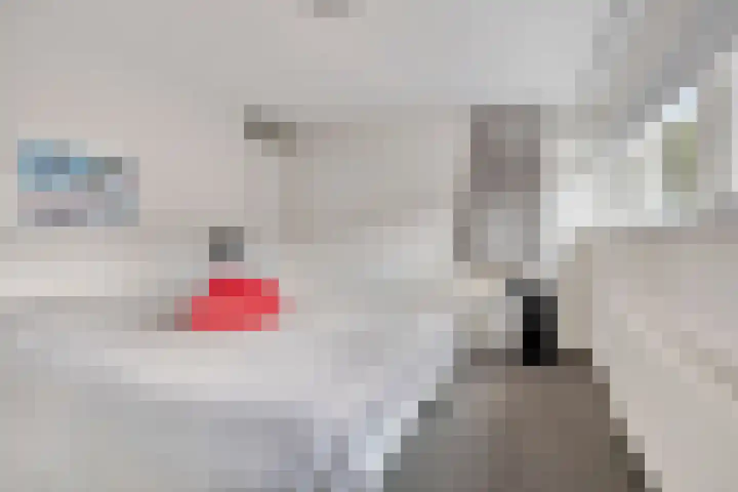 Wessex 53 Hengelo thumbnail 21