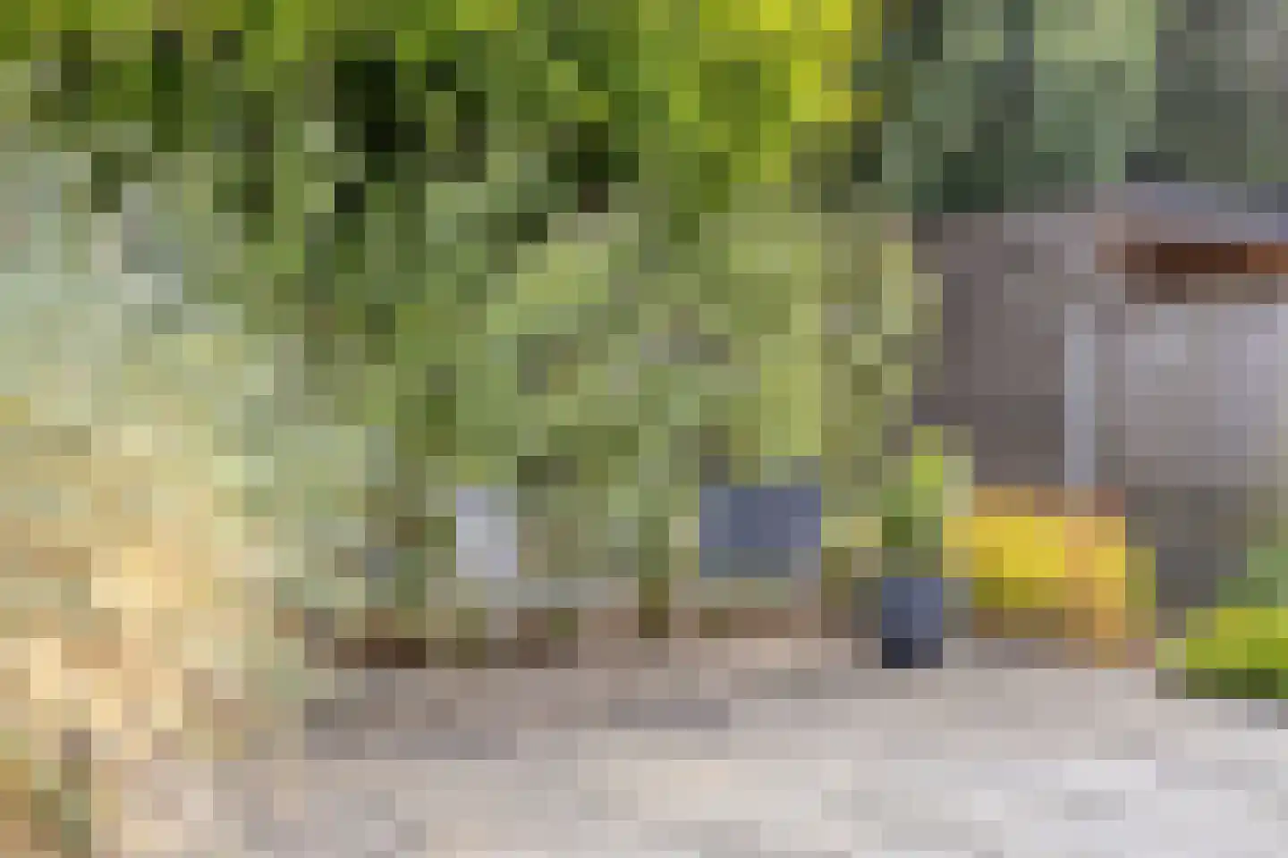 Wessex 53 Hengelo thumbnail 37