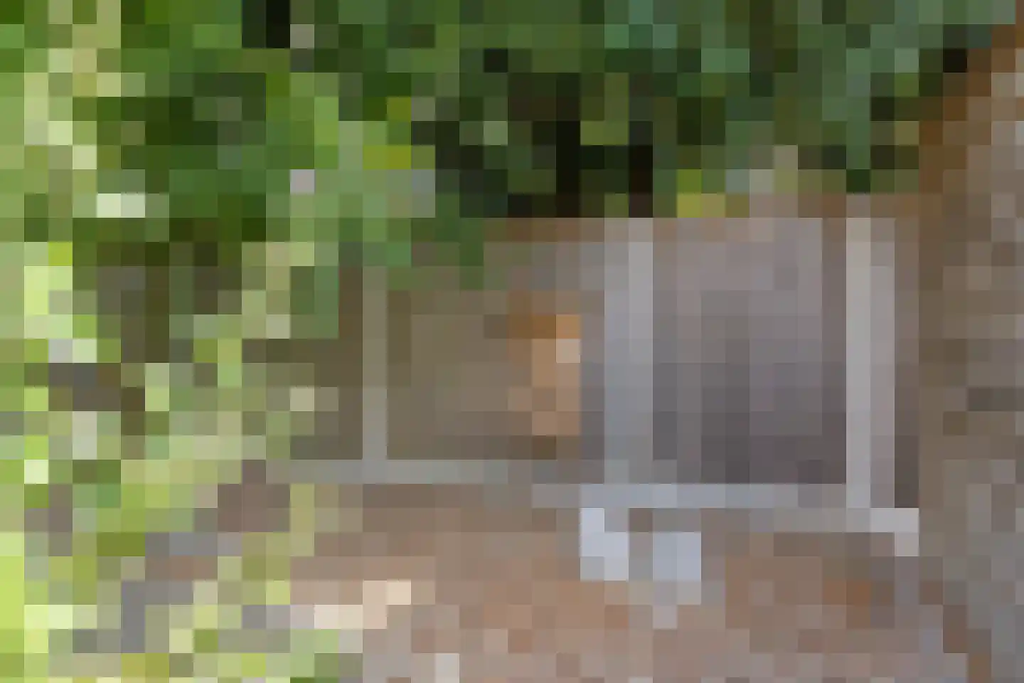 Wessex 53 Hengelo thumbnail 38
