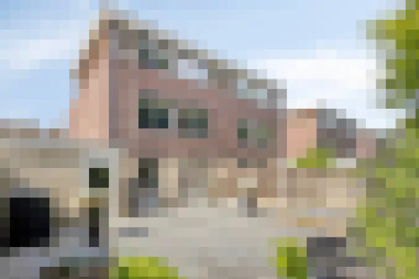 Wessex 53 Hengelo thumbnail 39