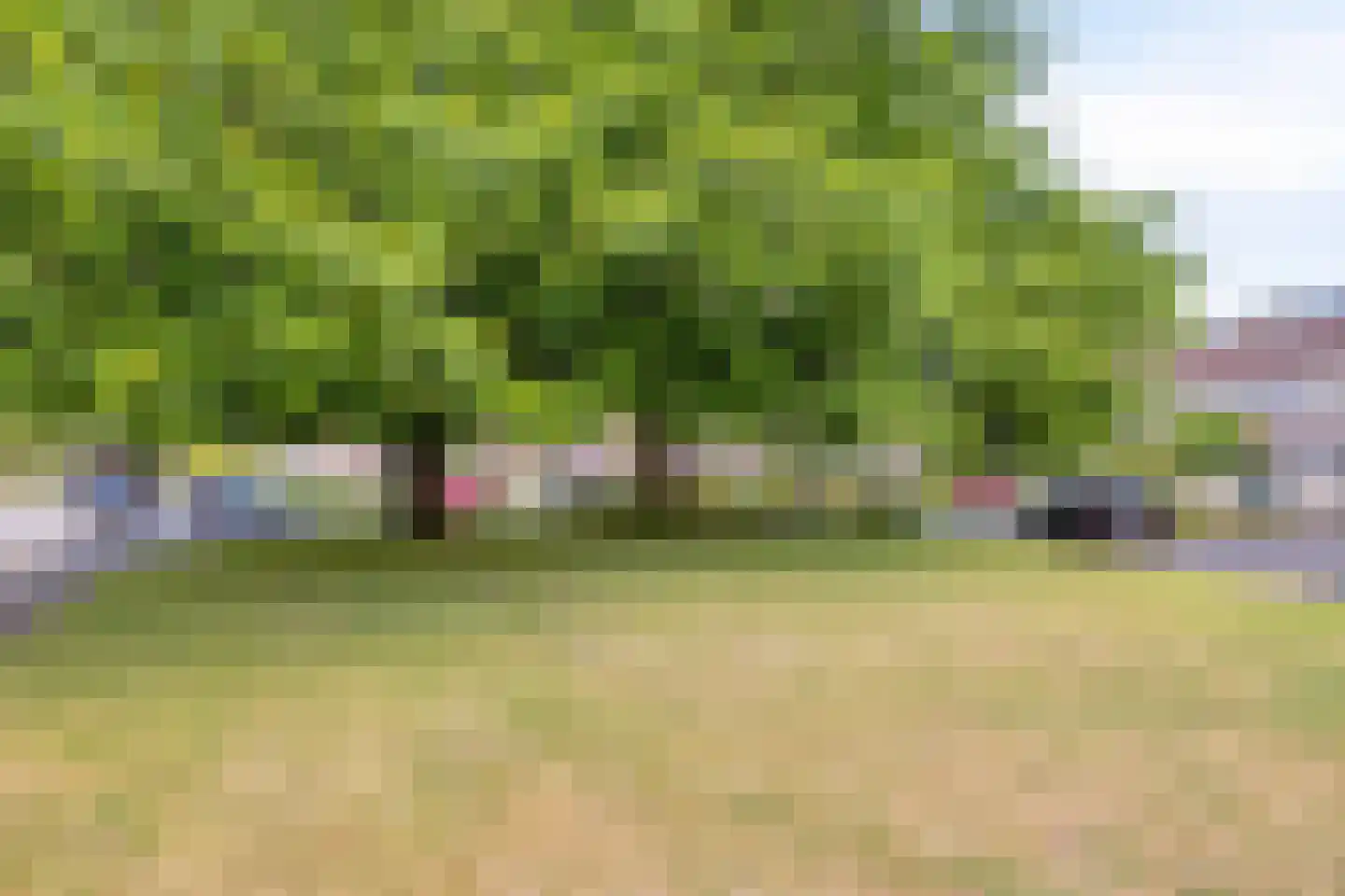 Wessex 53 Hengelo thumbnail 40