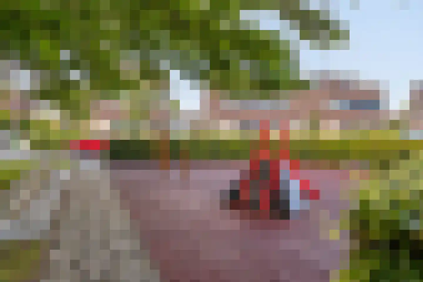Wessex 53 Hengelo thumbnail 41