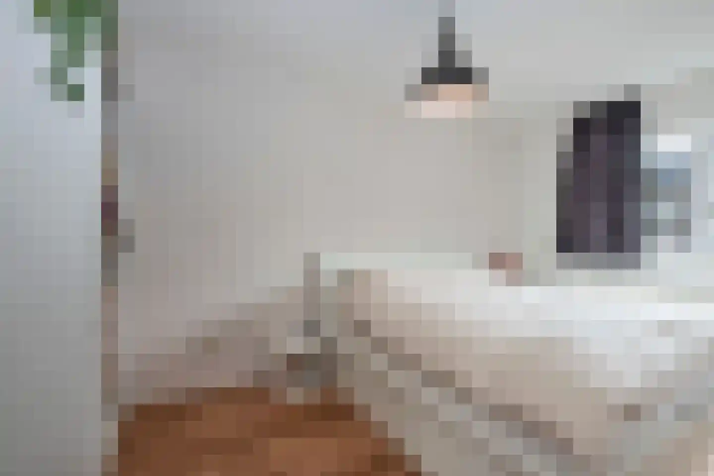 Wessex 8 Hengelo thumbnail 16