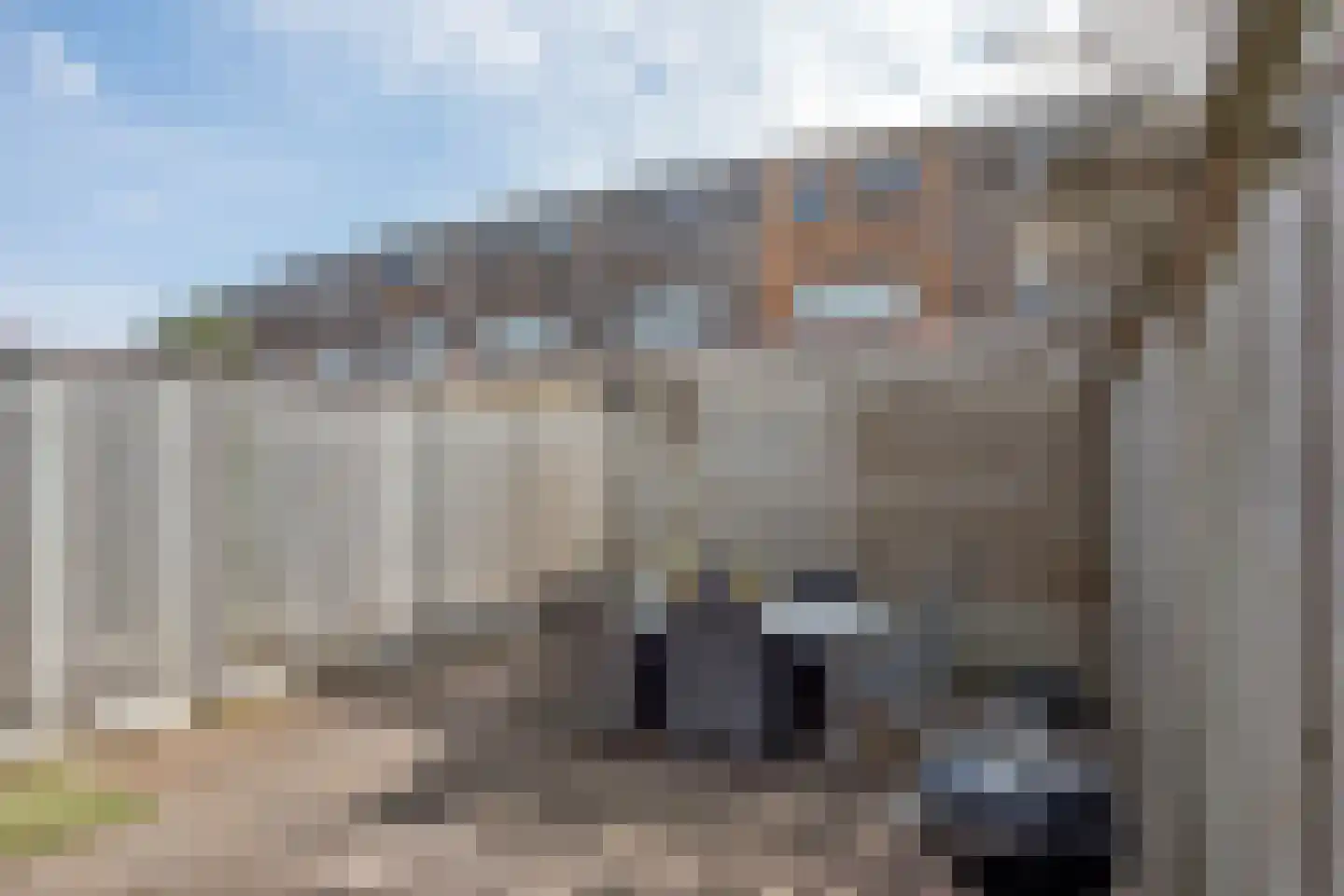Wessex 8 Hengelo thumbnail 26