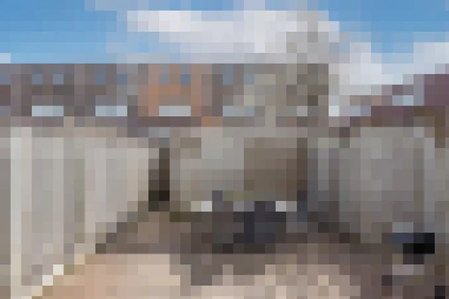 Wessex 8 Hengelo thumbnail 27