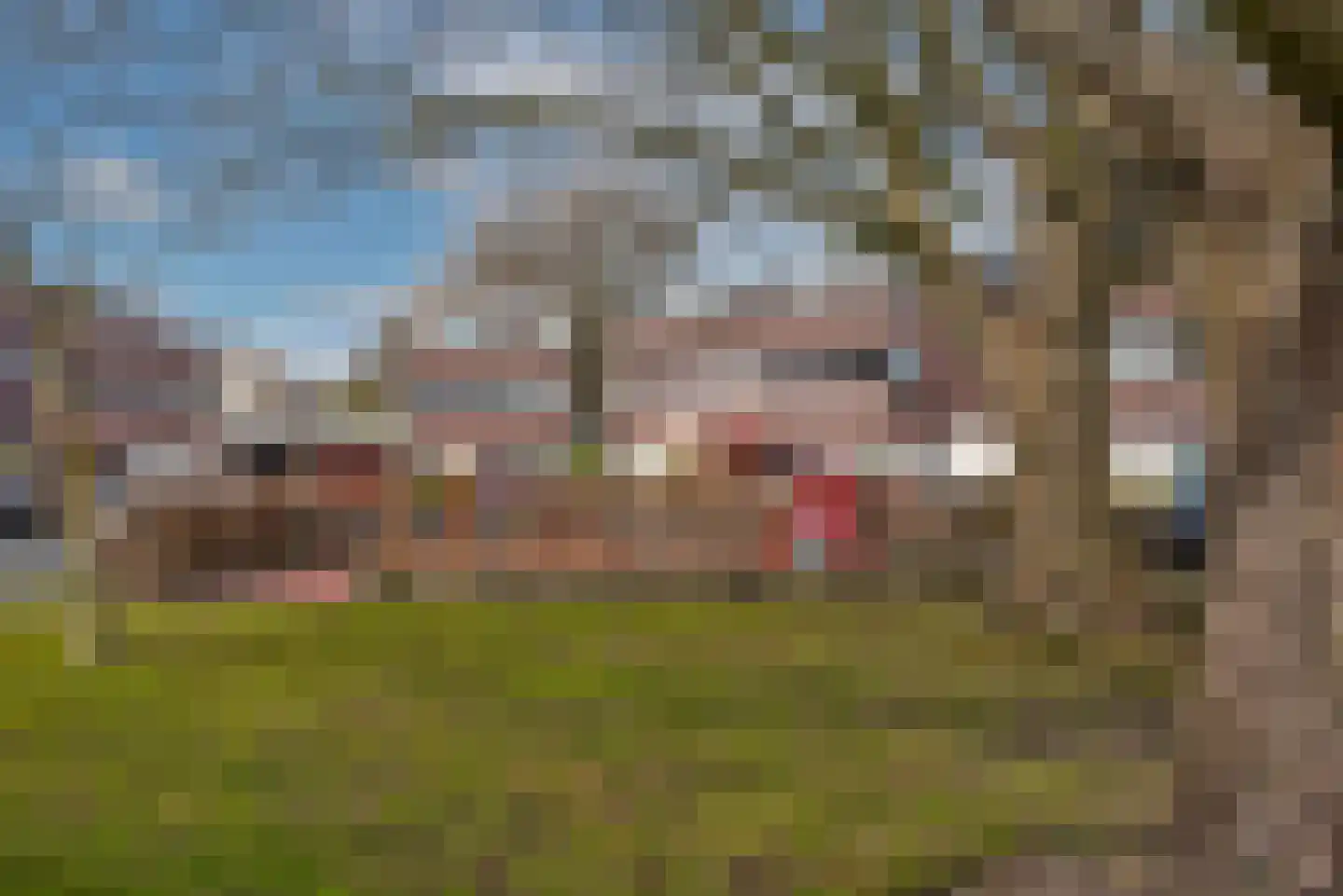 Wessex 8 Hengelo thumbnail 32