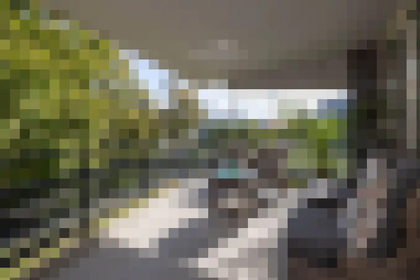 Wessex 87 Hengelo thumbnail 11