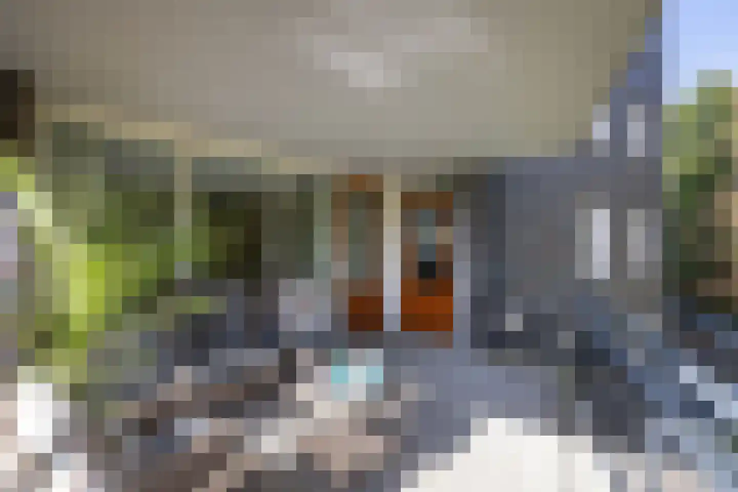 Wessex 87 Hengelo thumbnail 13
