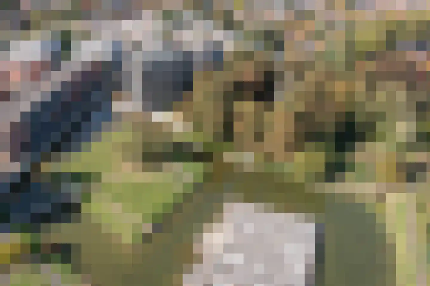 Wessex 87 Hengelo thumbnail 33