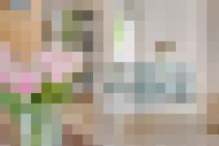 Wessex 9 Hengelo thumbnail 13