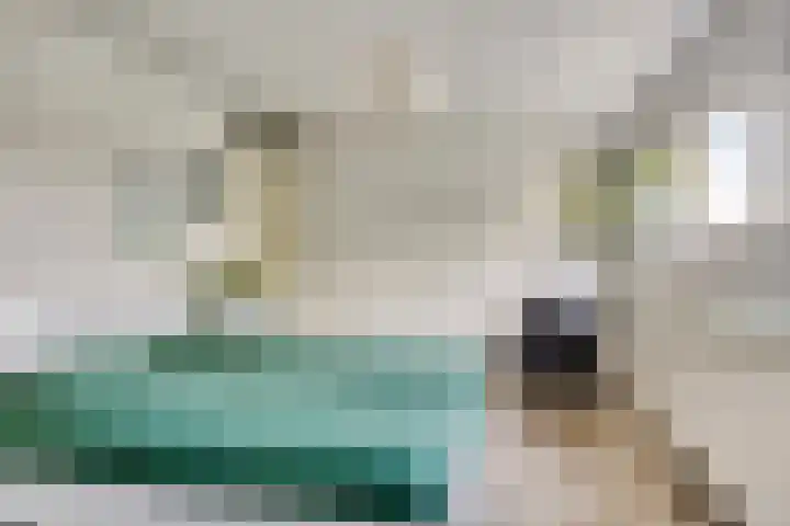 Wessex 9 Hengelo thumbnail 22